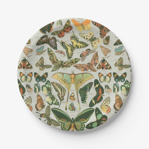 Butterfly Vintage Antique Butterflies Pattern Paper Plates