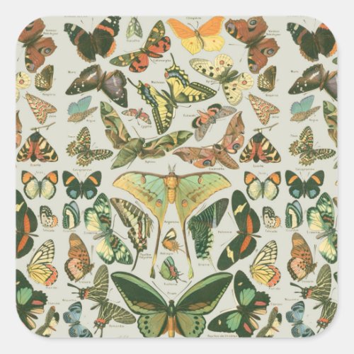 Butterfly Vintage Antique Butterflies Pattern Square Sticker