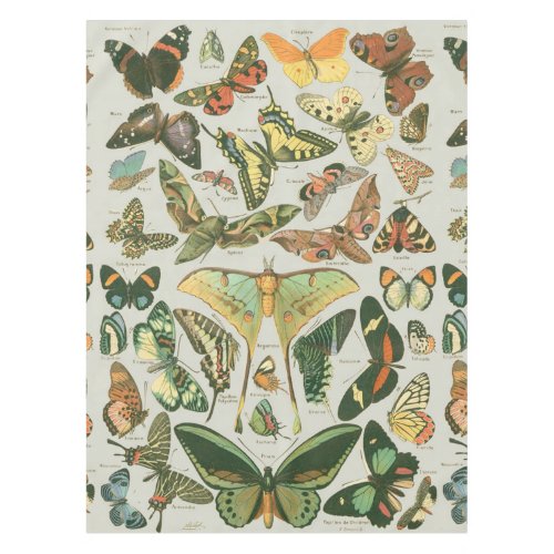 Butterfly Vintage Antique Butterflies Pattern Tablecloth