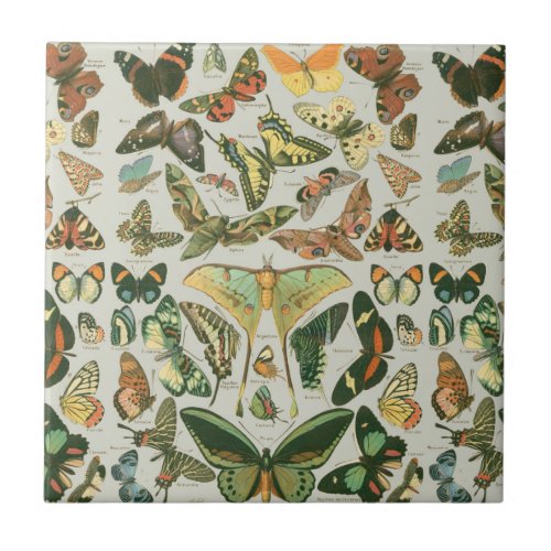 Butterfly Vintage Antique Butterflies Pattern Tile