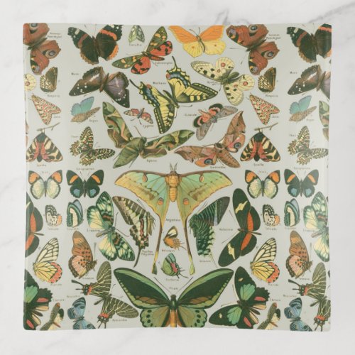Butterfly Vintage Antique Butterflies Pattern Trinket Tray