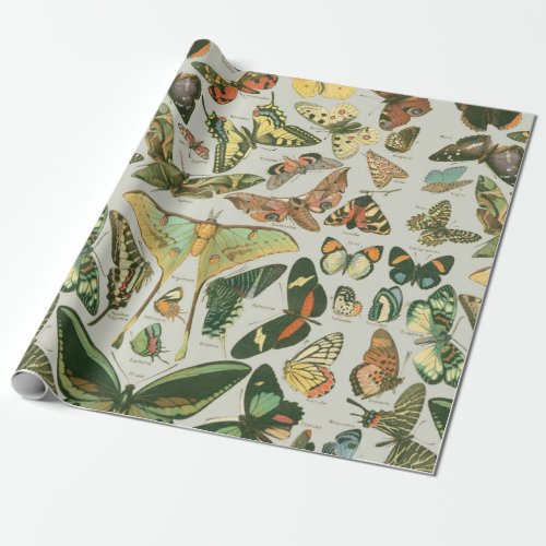 Butterfly Vintage Antique Butterflies Pattern Wrapping Paper