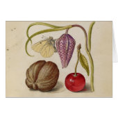 Butterfly Walnut Flower Cherry Watercolor Art (Front Horizontal)