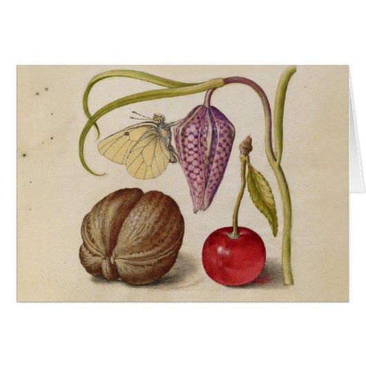 Butterfly Walnut Flower Cherry Watercolor Art Cards (Front Horizontal)