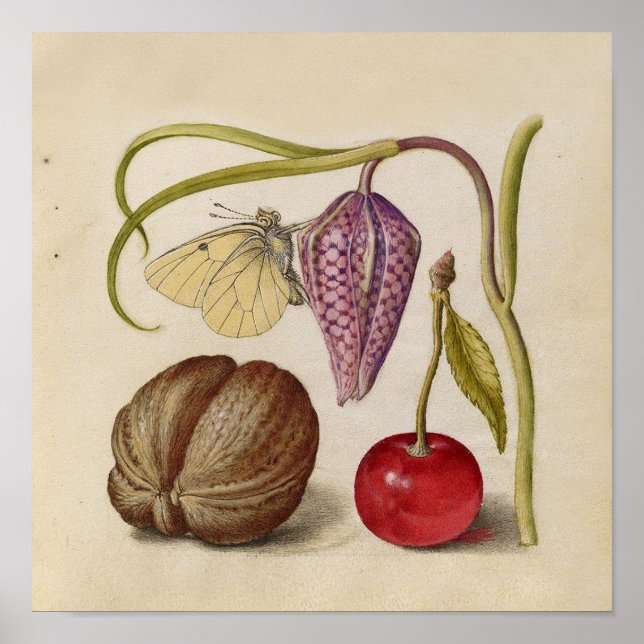 Butterfly Walnut Flower Cherry Watercolor Art Poster (Front)