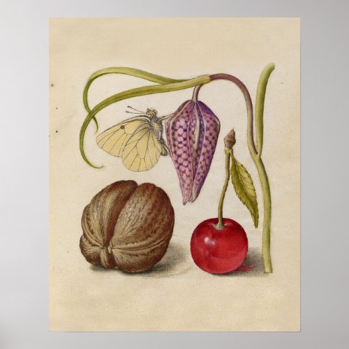 Butterfly Walnut Flower Cherry Watercolor Art Poster