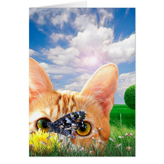 Butterfly Watcher Cards (Front)