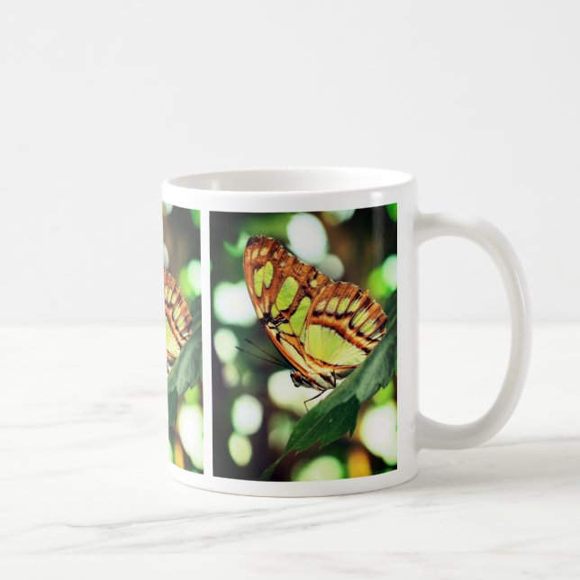 Butterfly Watching Nature  Coffee Mug (Right)