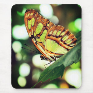 Butterfly Watching Nature Mouse Pad