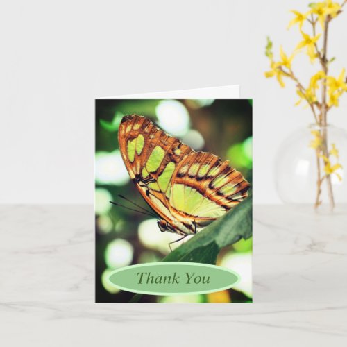 Butterfly Watching Nature Personalized Thank You Card