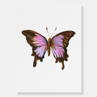 Butterfly Watercolor Foam Board