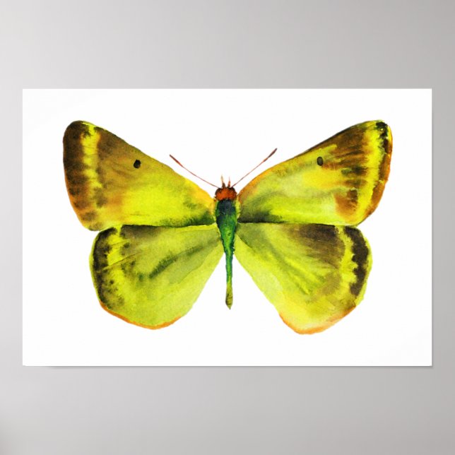 Butterfly Watercolor Painting Poster (Front)