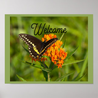 Butterfly Welcome Poster