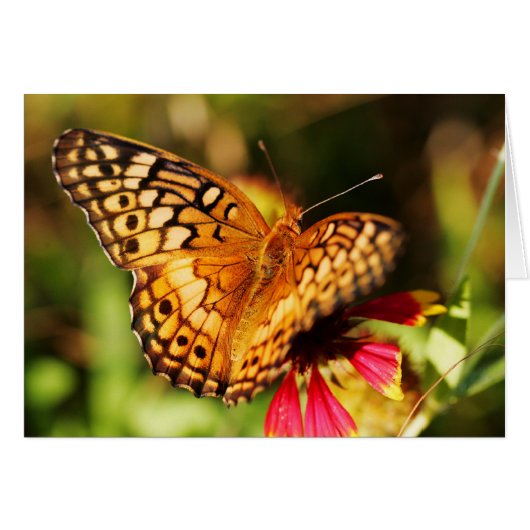 Butterfly & Wildflower Cards (Front Horizontal)