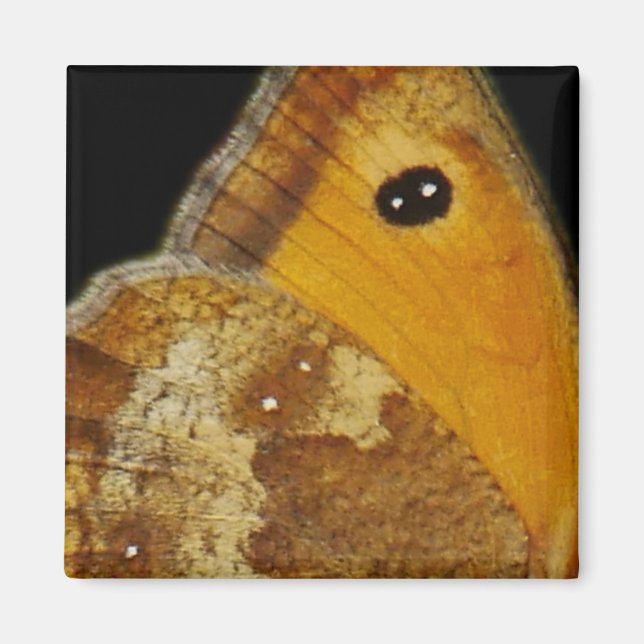 Butterfly Wing Magnet (Front)