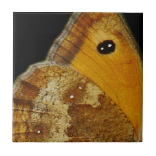Butterfly Wing Tile