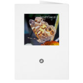 Butterfly Wings Cards (Back)