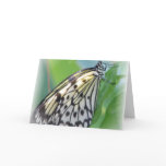Butterfly Wings Greeting Card