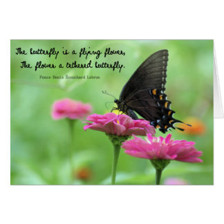 Inspirational Insect Quotes Cards, Inspirational Insect Quotes Card ...