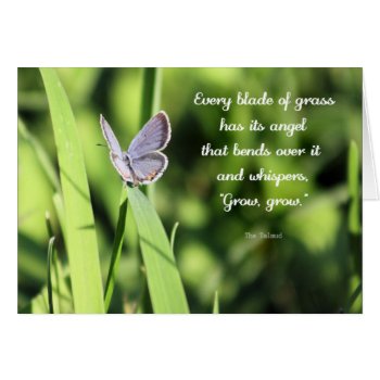 Butterfly Wisdom: Grow  Grow. by time2see at Zazzle