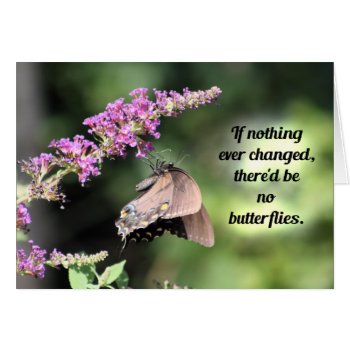 Butterfly Wisdom: If Nothing Ever Changed... by time2see at Zazzle