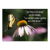 Butterfly Wisdom: Sunshine, Freedom, Flower. (Front Horizontal)