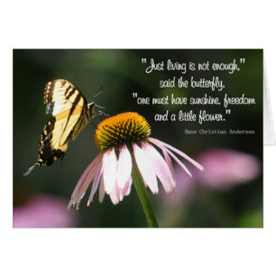 Butterfly Wisdom: Sunshine, Freedom, Flower. Cards