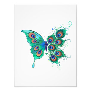 Butterfly with Green Peacock Feathers Photo Print