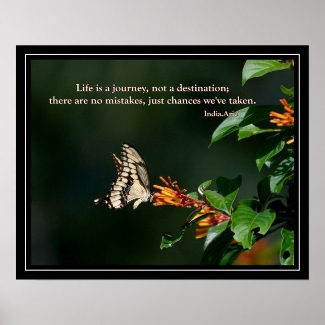 Butterfly with India Arie quote Poster (Front)