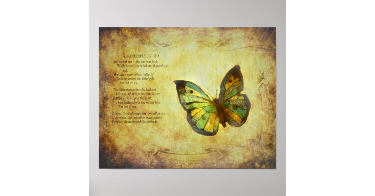 Monarch Butterfly over soft blue canvas print 8x10 