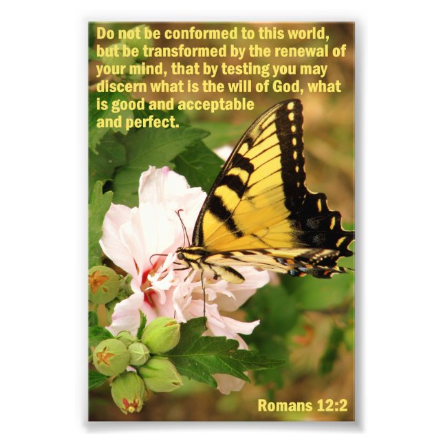 Butterfly with Romans 12:2 Photo Print (Front)