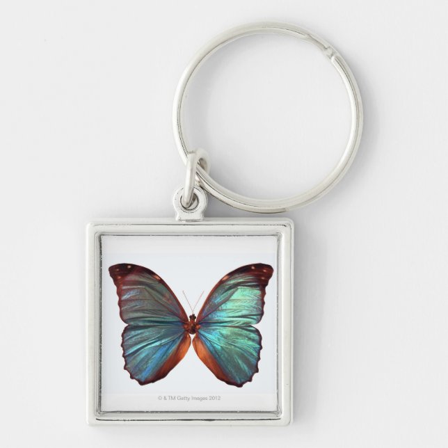 Butterfly with wings spread 2 keychain (Front)