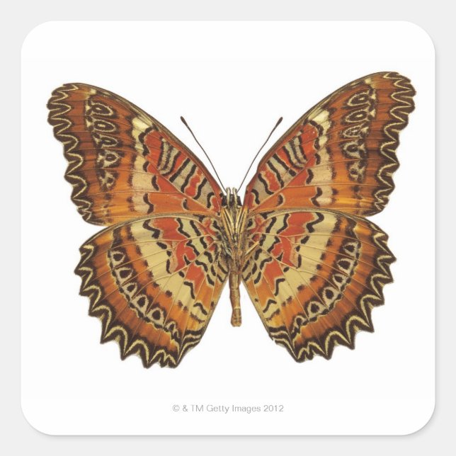 Butterfly with wings spread square sticker (Front)