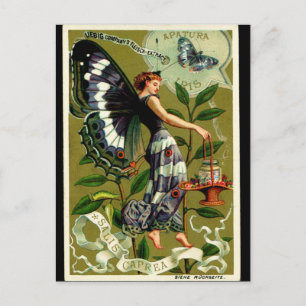 BUTTERFLY WOMAN postcard