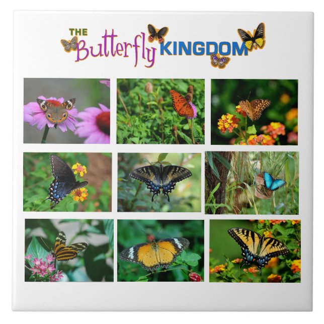 Butterfly World Ceramic Tile (Front)