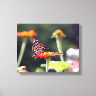 Butterfly Wrapped Canvas Print