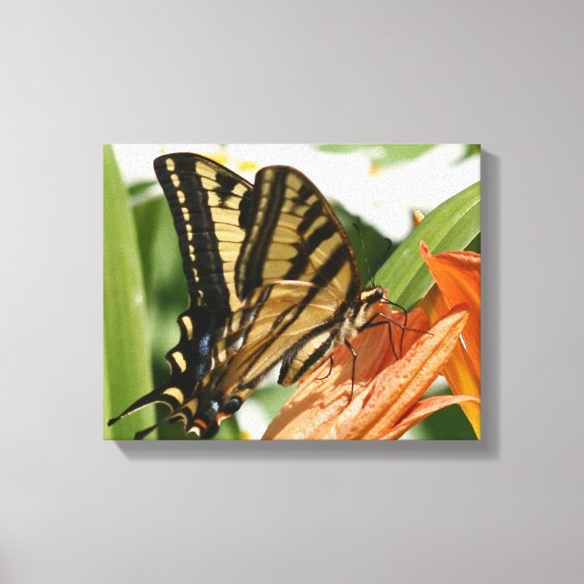 Butterfly wrapped canvas print (Front)