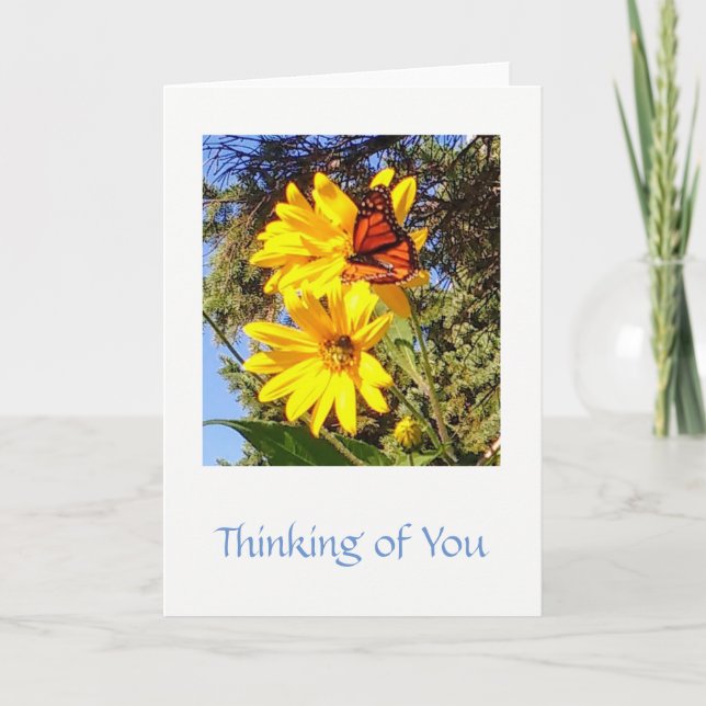 Butterfly, write your own note, letter or message card (Front)