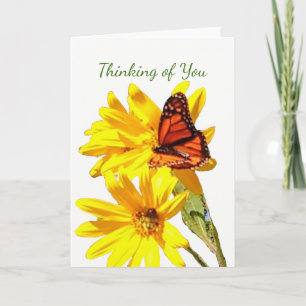 Butterfly, write your own note, letter or message card