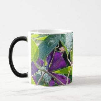 Butterfly's Eyes Color Morph Mug