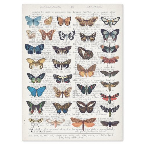 BUTTERFLYS ON WORDS TISSUE PAPER