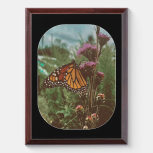butterflys orange award plaque
