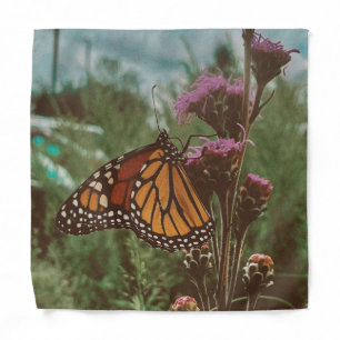 butterflys orange bandana