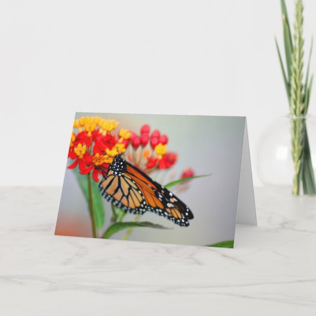 Butterly & Flower Designer Note Cards (Front)
