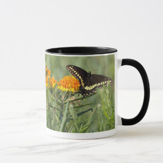 Butterly Photo Mug