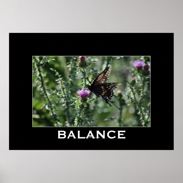 Butterly & Thistle BALANCE Inspirational Poster (Front)