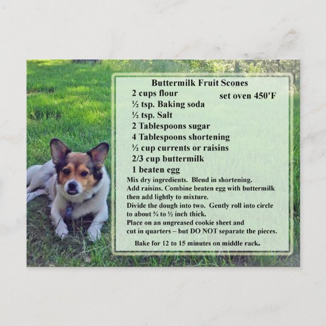 Buttermilk Fruit Scones Recipe Postcard (Front)