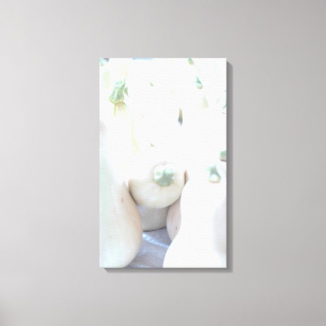 Butternut Squash Canvas Print (Front)
