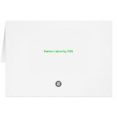 Butters I (Back Horizontal)