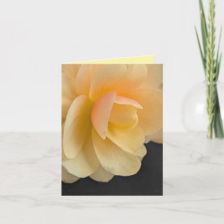 Buttery Begonia Note Card